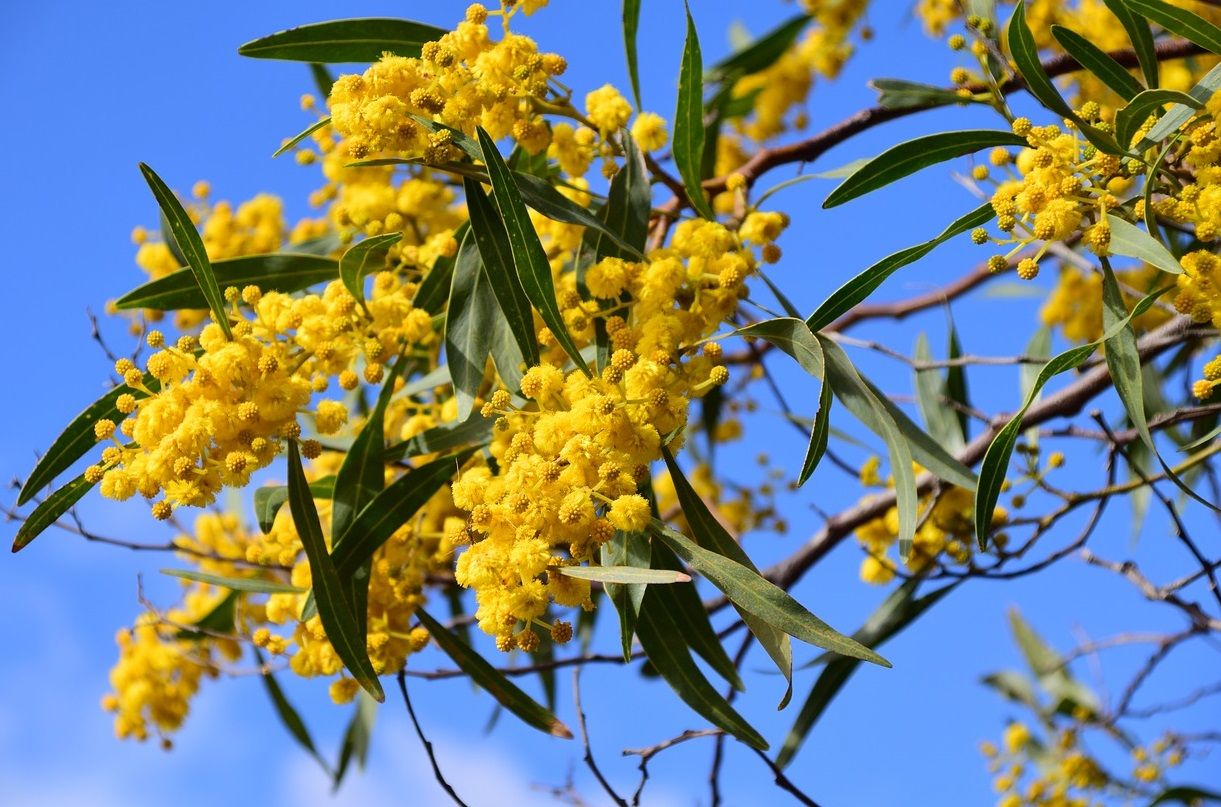 8 marzo, Festa della donna al MEIS con la visita a tema “La donna nell’ebraismo”