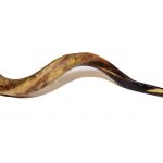 1. Uno shofar